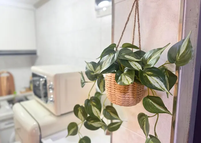 Stayorae - Cozy 2br, 5min Subway, Near Seongsu 아파트